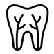 Tooth icon with root structure illustration for dental emergency services.